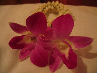 blog-jasmine2.jpg